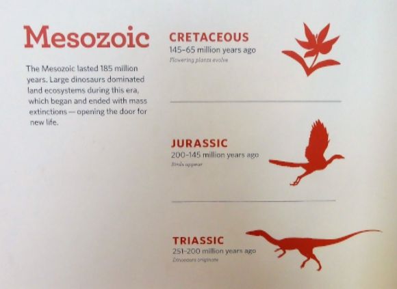 the dinosaurs diary